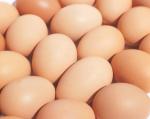 엽산, 칼슘 다량 함유돼 임산부와 태아 모두에게 도움이 되는 ‘계란’