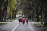 ‘뛰기만 해도 좋아’ 대자연과 함께하는 뉴질랜드 마라톤 대회