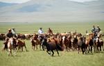 ‘몽골리아 세븐데이즈’, 알뜰 여행족을 위한 파격 상품 출시