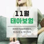 11월 태아보험비교사이트, 30세만기vs100세만기부터 보험료와 혜택까지!