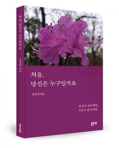 김영배 지음, 좋은땅출판사, 256쪽, 1만4000원