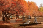 서울 어린이대공원, ‘가을향기 흠뻑’ 문화체험 풍성