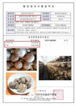 DHA 함유, 치매예방에 탁월한 식용버섯 ‘송백버섯’ 한국최초 출시